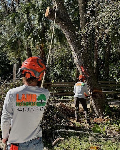 Lamb Tree Care