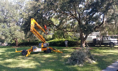 A&A Tree Care