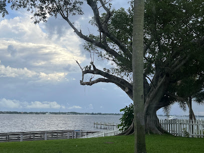 KTS Tree Service West Palm Beach