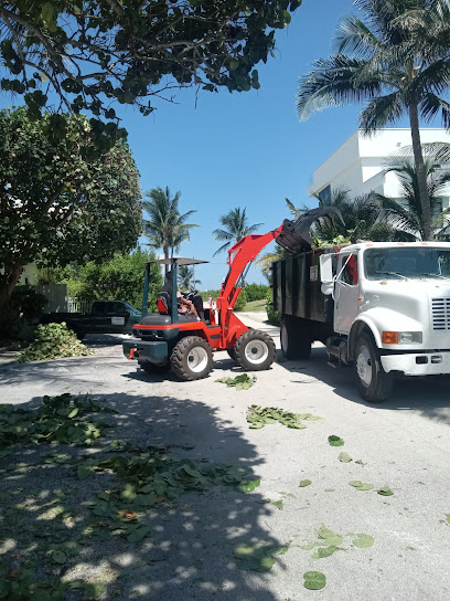 Able Tree care